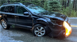 ME98b84b10aad44bb920ad876a577ab221